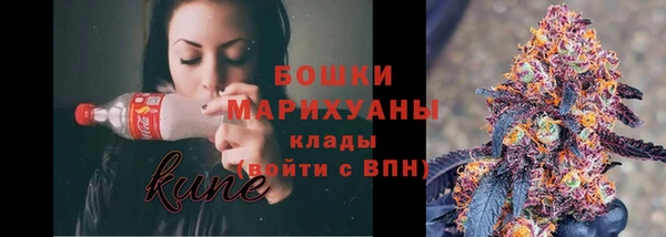 spice Ельня