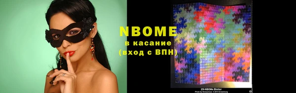 spice Ельня