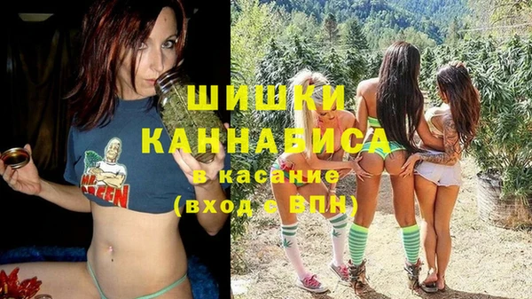 spice Ельня
