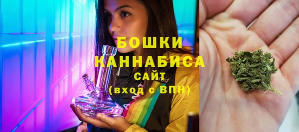 spice Ельня