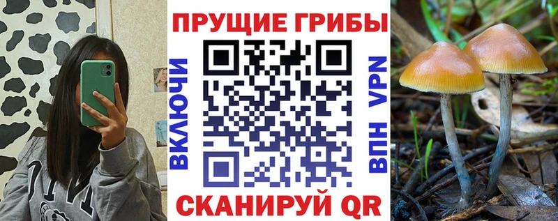 Галлюциногенные грибы прущие грибы  Купить закладки  Нововоронеж 